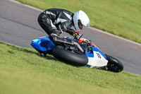 PJ-Motorsport-2019;anglesey-no-limits-trackday;anglesey-photographs;anglesey-trackday-photographs;enduro-digital-images;event-digital-images;eventdigitalimages;no-limits-trackdays;peter-wileman-photography;racing-digital-images;trac-mon;trackday-digital-images;trackday-photos;ty-croes